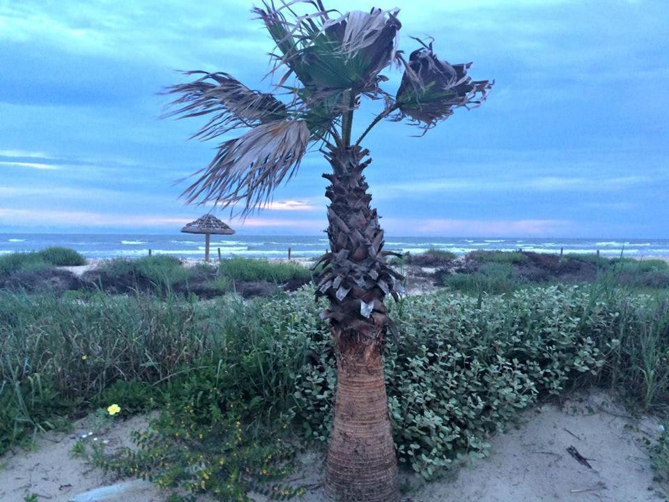 Unobstructed Oceanfront Sea Turtle Unit 2 Beach Pad! Surfside Beach Εξωτερικό φωτογραφία
